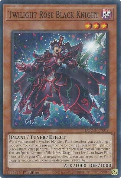 Twilight Rose Black Knight