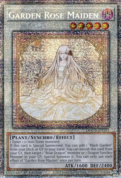 Garden Rose Maiden
