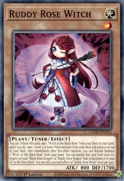 Ruddy Rose Witch