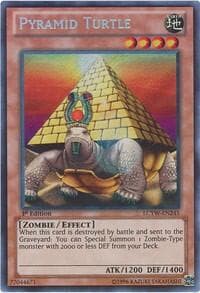 Pyramid Turtle
