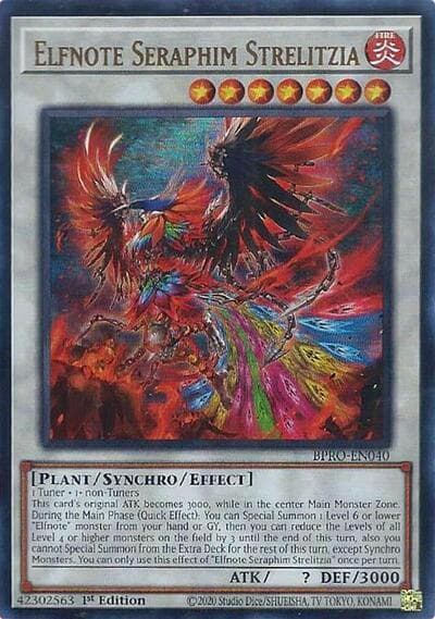 Elfnote Seraphim Strelitzia