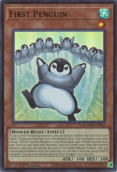 First Penguin
