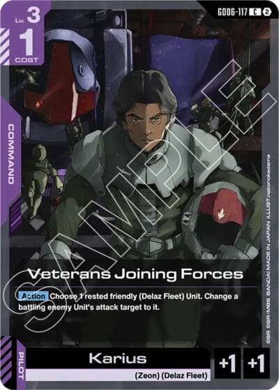 Veterans Joining Forces