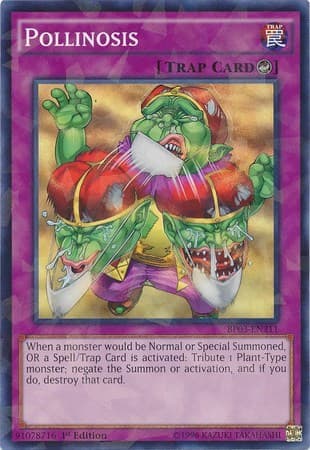 Pollinosis (Shatterfoil)