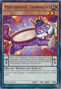 Performapal Trampolynx