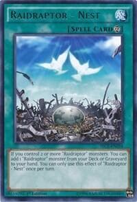 Raidraptor - Nest