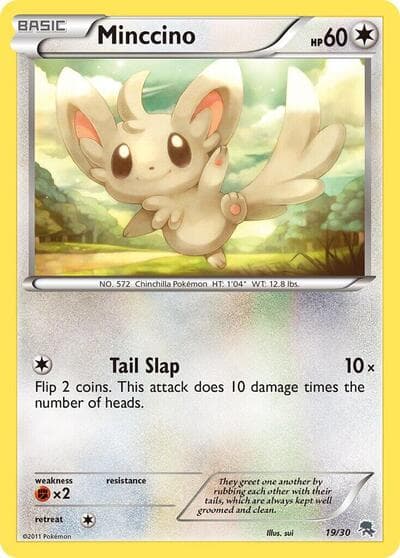 Minccino (#19)
