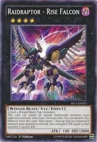 Raidraptor - Rise Falcon